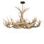 Rustic Lodge 18 - Light Chandelier