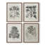 «Vintage Floral Print», impression encadrée, ensemble de 4-78337489-78337518