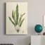«Curtis Ferns IV», impression sur toile tendue-965016271
