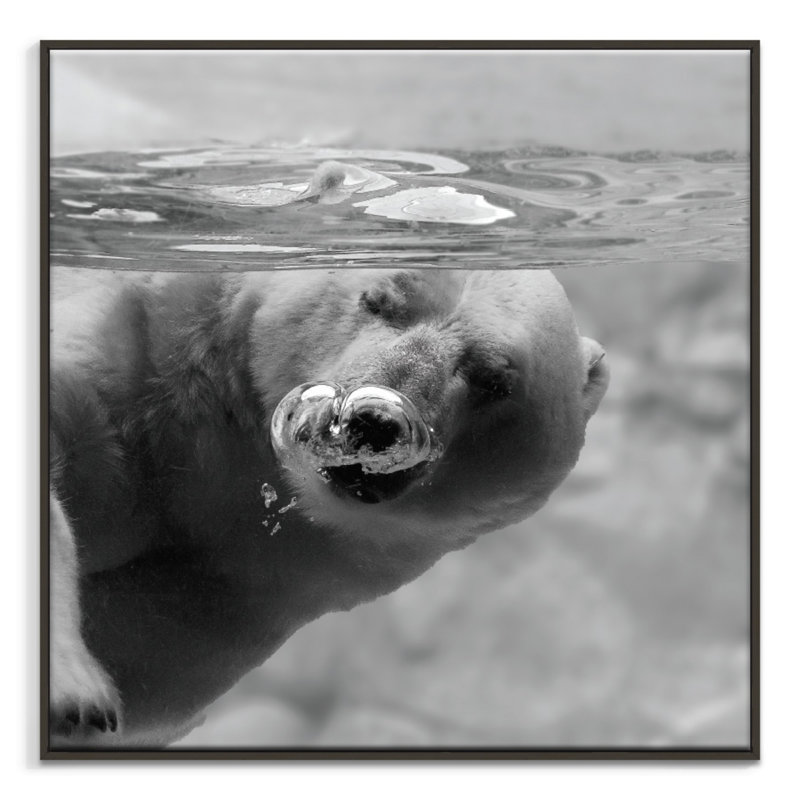 Print on Canvas, Black, 76cm H x 76cm W