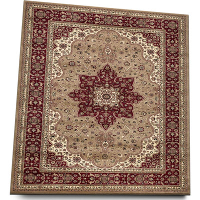 Oriental Area Rug