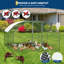 Chicken Coop-879888133