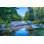 «Mountain National Forest» par Sergueï et Marina - photographie sur toile tendue