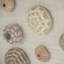 Décoration murale abstraite shell