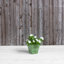 Pot à fleurs en pierre Alaunah-80148670-100665120