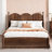 Queen Size Platform Bed With with 2 Big Drawers, Twin XL Size Trundle-108778362
