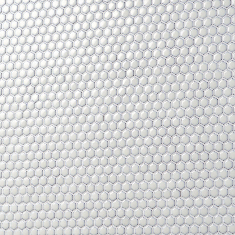 Eden 1" Rimmed Hexagon Polished Porcelain Mosaic Tile, Vintage White