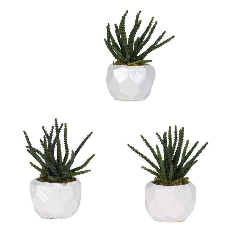 7'' Faux Worm Succulents Plant in Ceramic Pot