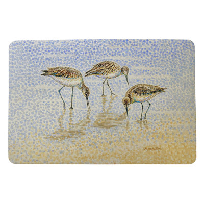 Non-Slip Outdoor Doormat