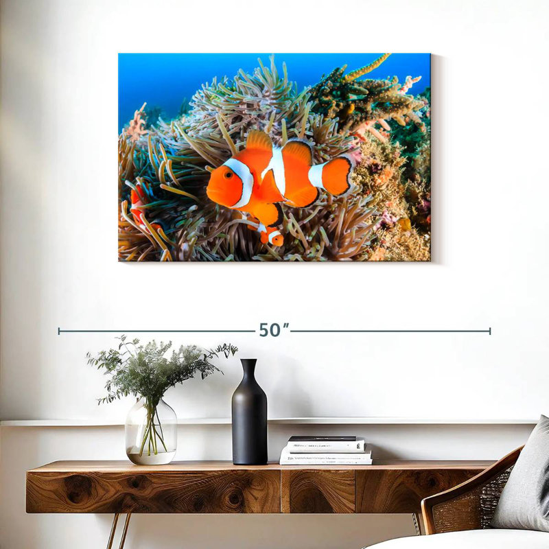 Brampt Fish Swimming