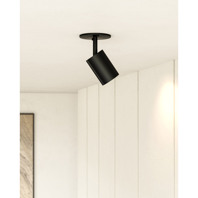 Barclay Black Powder-Coat Adjustable Spotlight
