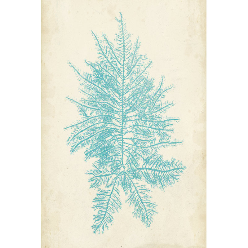 Aquamarine Seaweed III by Vision Studio - Painting, 122cm H x 81cm W, Black Floater Framed
