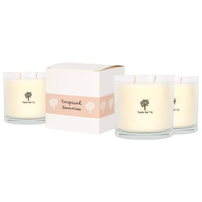 Nicola Spring Tropical Sunrise Soy Wax Candle