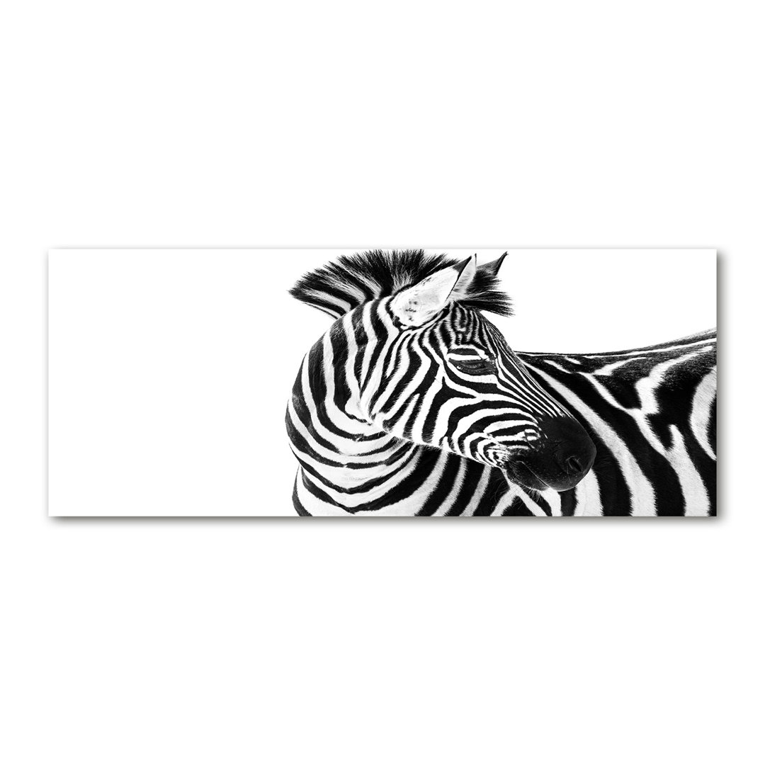 Zebra im Schnee - Kunstdrucke auf Leinwand - Wrapped Canvas