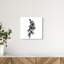 Ossified Petals II Print by Oliver Gal-2034241596-2034241598
