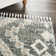 Ileyah Performance Southwestern Indoor Rug