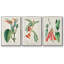 " Turpin Tropical Botanicals I " 3 - Pieces-91891562-91891565