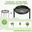 Plant Stand - Set of 6