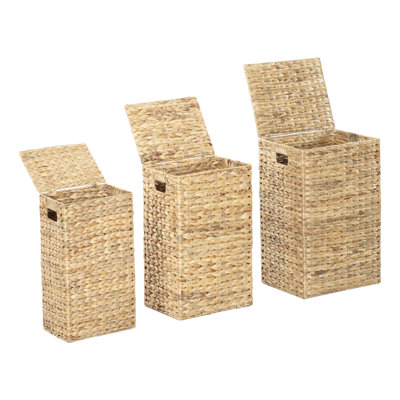 Paniers de jacinthes Glenbrook