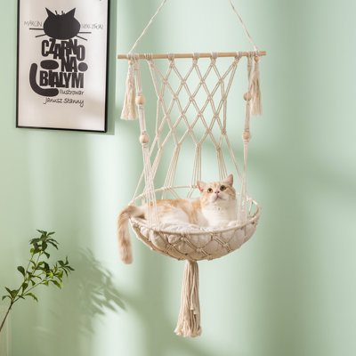 Balançoire pour chat avec hamac pour chat