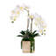 Real Touch Orchid Flower Arrangement in Cube Nickel Pot
