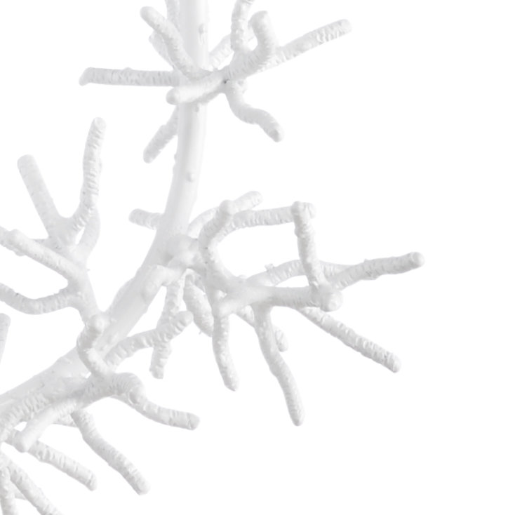 Coastal 8 - Light Chandelier