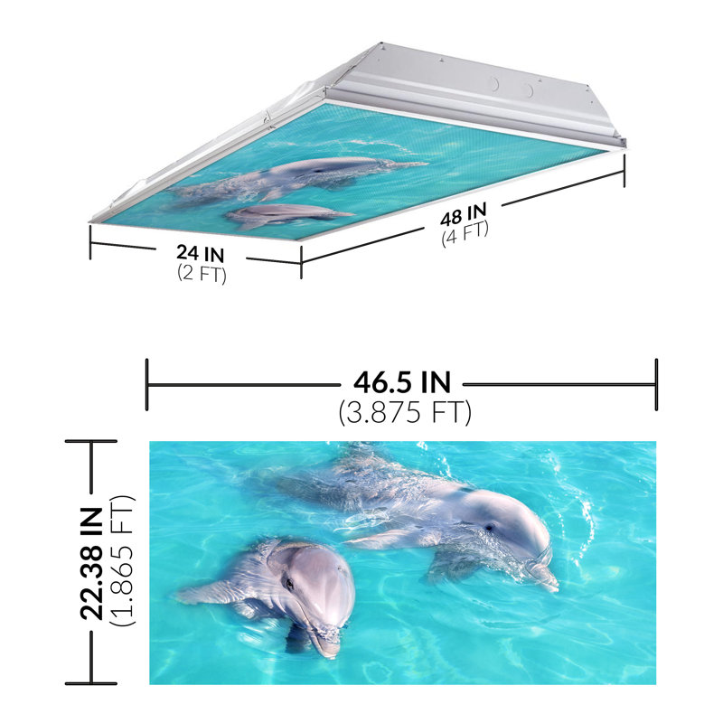 Couvre-lampes fluorescents pour salle de classe Ocean - pour luminaire 2 x 4 - par Octo Lights
