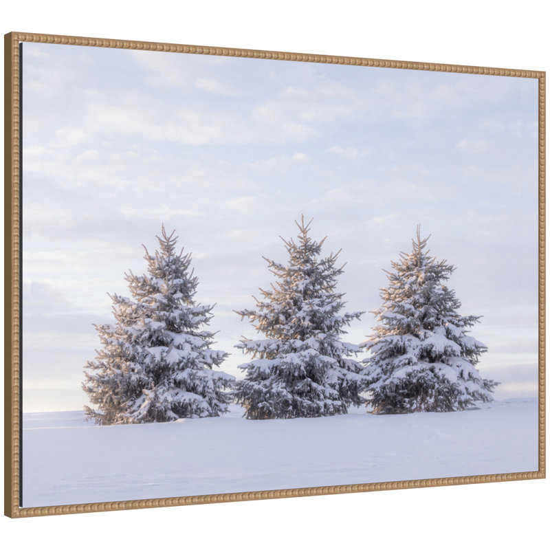 «Snowy Pine Trees» par Stephanie Klatt, reproduction d'art sur toile encadrée