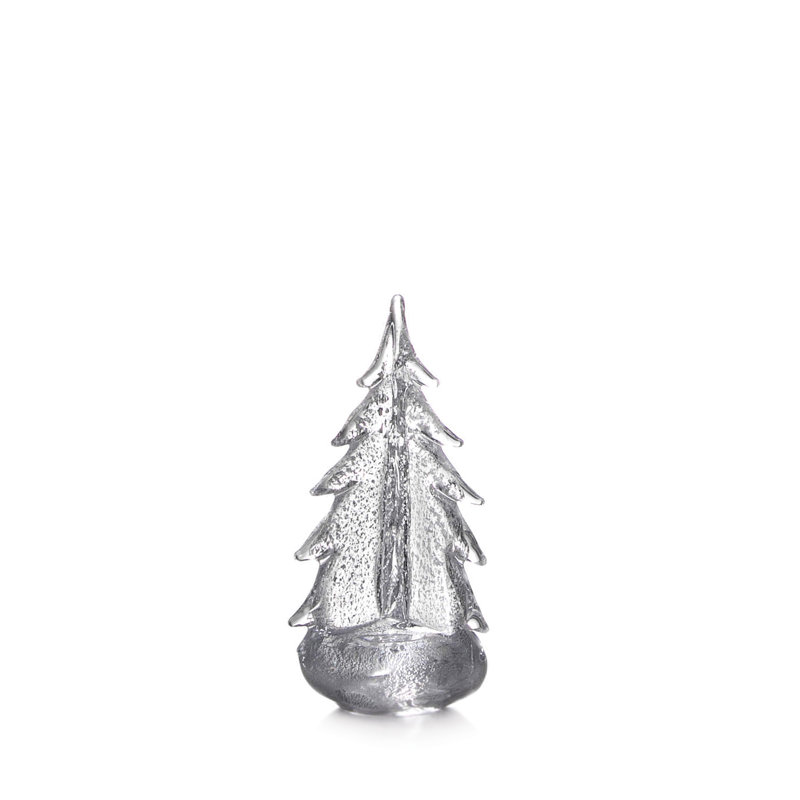 Silver Leaf Evergreen, 10 inch