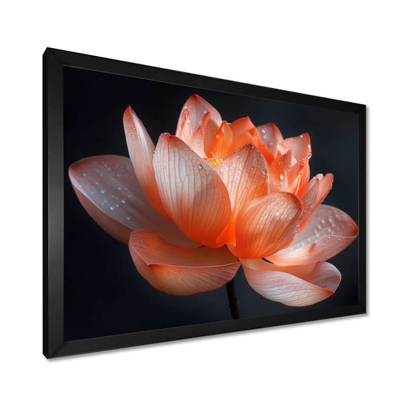 Orange orange, gris, glamour, lotus photo II - lotus, art mural, H 12 po x l 20 po, Cadre simple noir