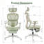 Chaise de bureau ergonomique avec repose-pieds et soutien lombaire dynamique-132013430-132013431