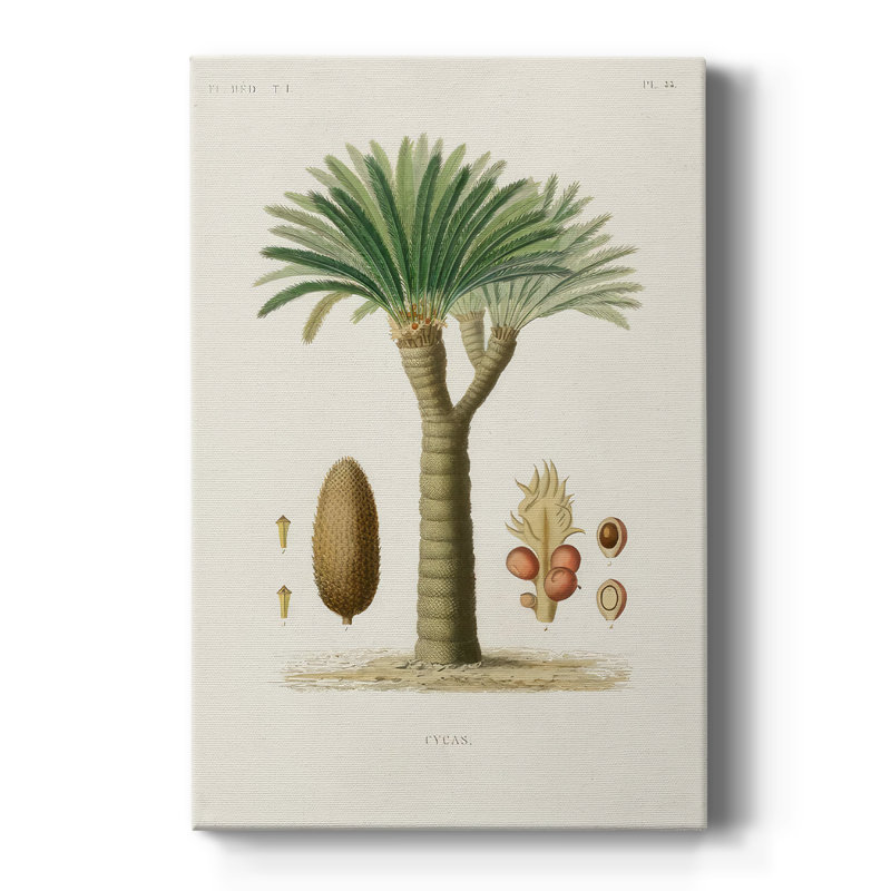 Arbre antique avec fruit et galerie Cavas sur mesure, H 27 po x l 18 po