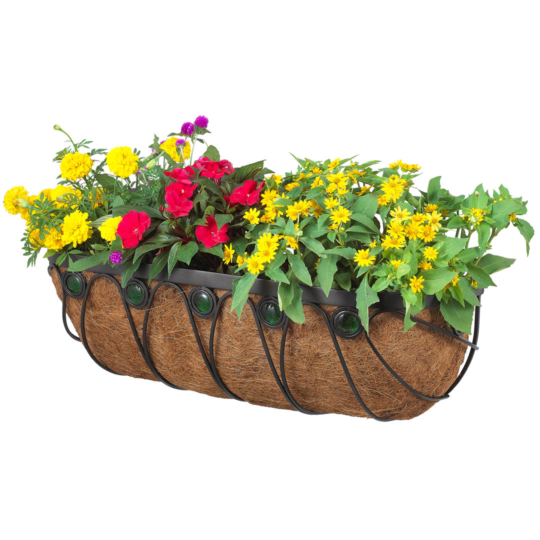 Roehl Metal Railing Planter August Grove® 