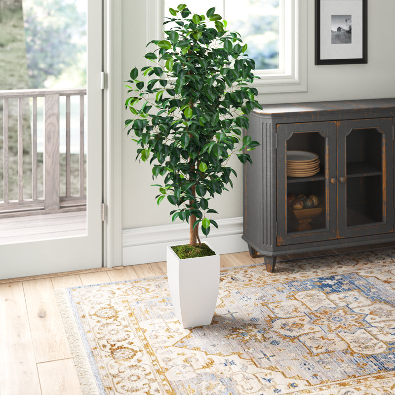 Ficus artificiel 54 po en pot, Blanc