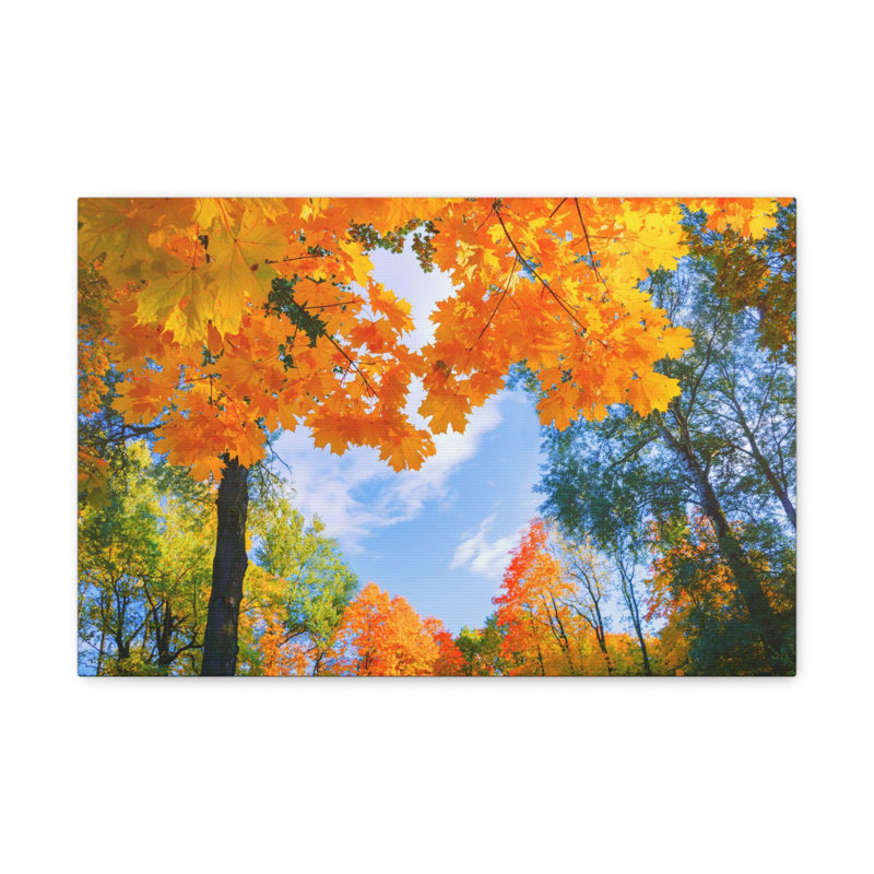 No Frame Print on Canvas, 16cm H x 20cm W