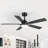 Selvidge 52'' Ceiling Fan with LED Lights and Remote, 6 Speed Quiet Reversible DC Motor, 5 Plywood Blades, 5''/10'' Downrods,Timer-139012768
