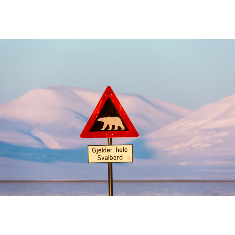 Road Sign With Plar Bear In Longyearbyen by SeppFriedhuber - No Frame Print on Canvas, 20cm H x 30cm W