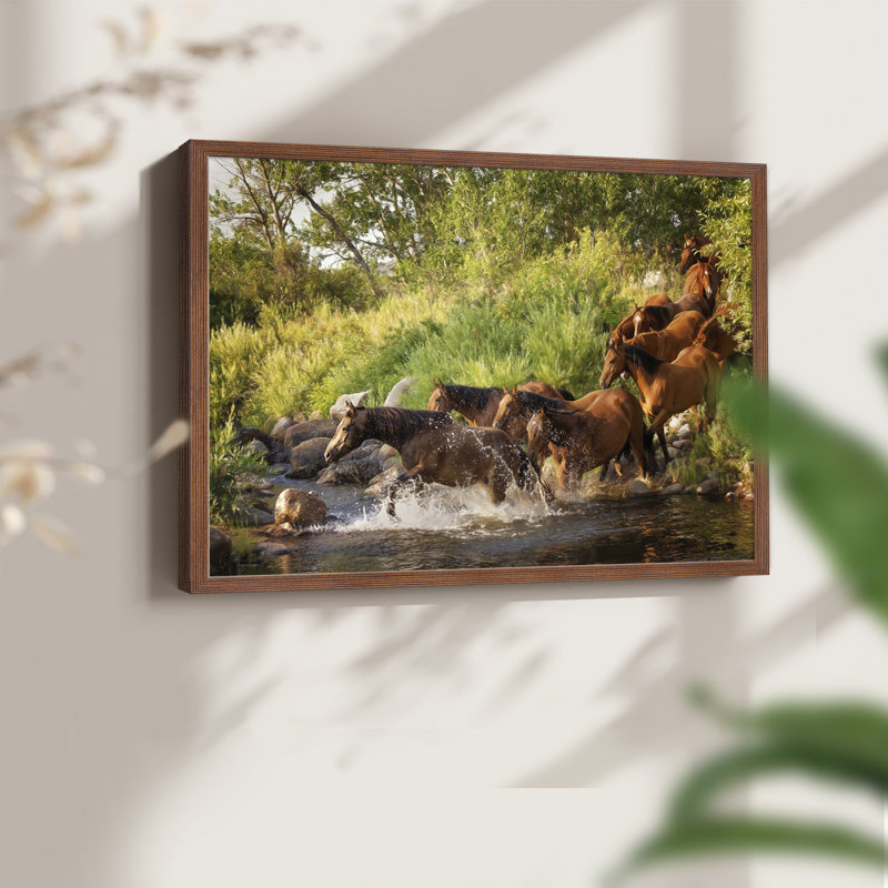 Sunlit Horses IV -Framed Print - Restickable, H 16 po x l 20 po, Noyer