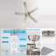 Ventilateur de plafond 52 po Lidiea