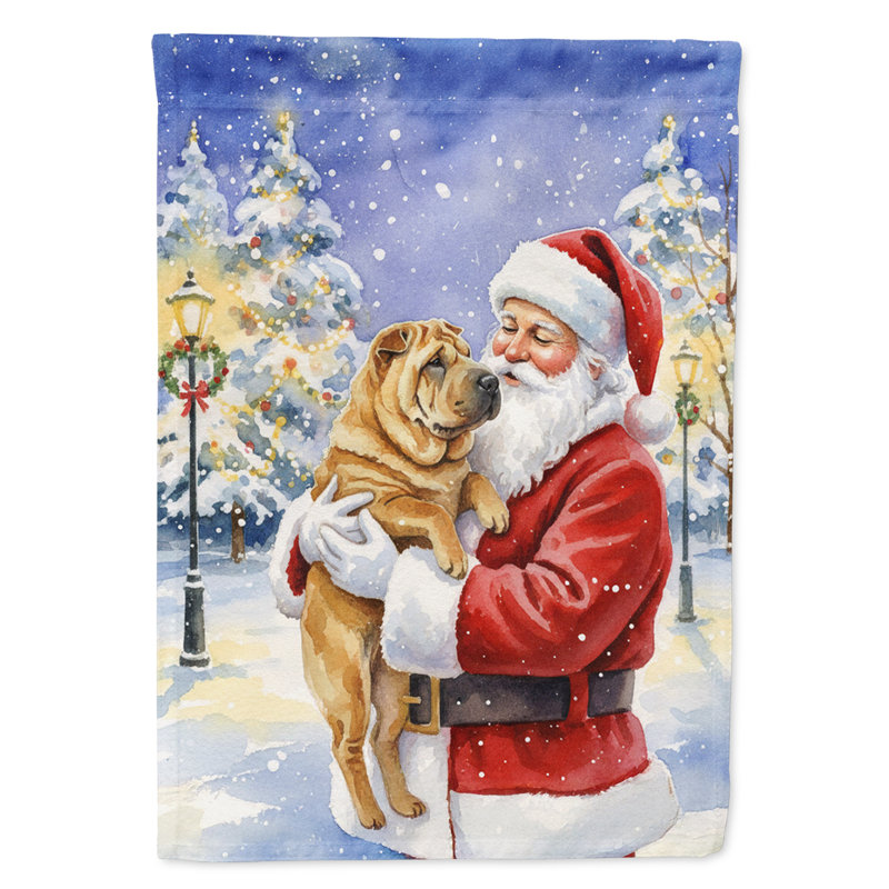 Shar Pei avec le drapeau de la maison du Père Noël, Taille de la maison, Shar Pei