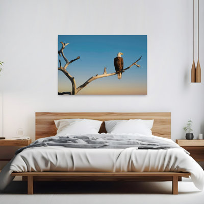 Vigilant Eagle Realistic Rustic Contemporary Bird Eagle Landscape Nature Wall Art