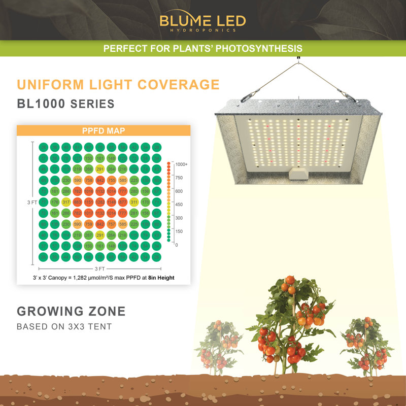 Lumière de croissance à DEL à spectre complet de 100 watts Blume avec guirlande pour plantes d'intérieur