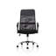 Executive Chair with Headrest
