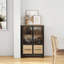 Armoire de rangement avec 4 portes en fer