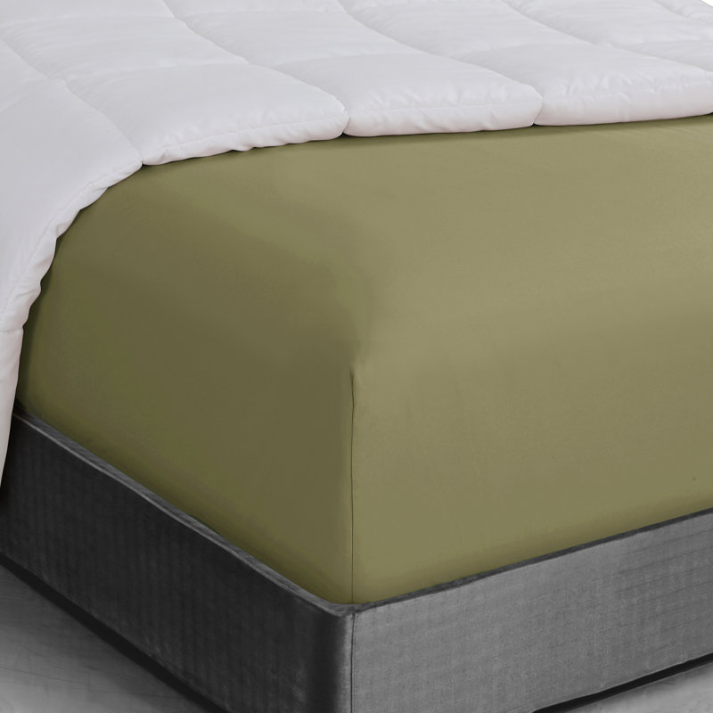 Drap-housse en microfibre douce - Basics by Wayfair ™, Sauge, Drap-housse de taille très grand