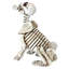 Statue du squelette pour chien fetch the