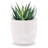 Ceramic Pot Planter-1973581648-1973581651