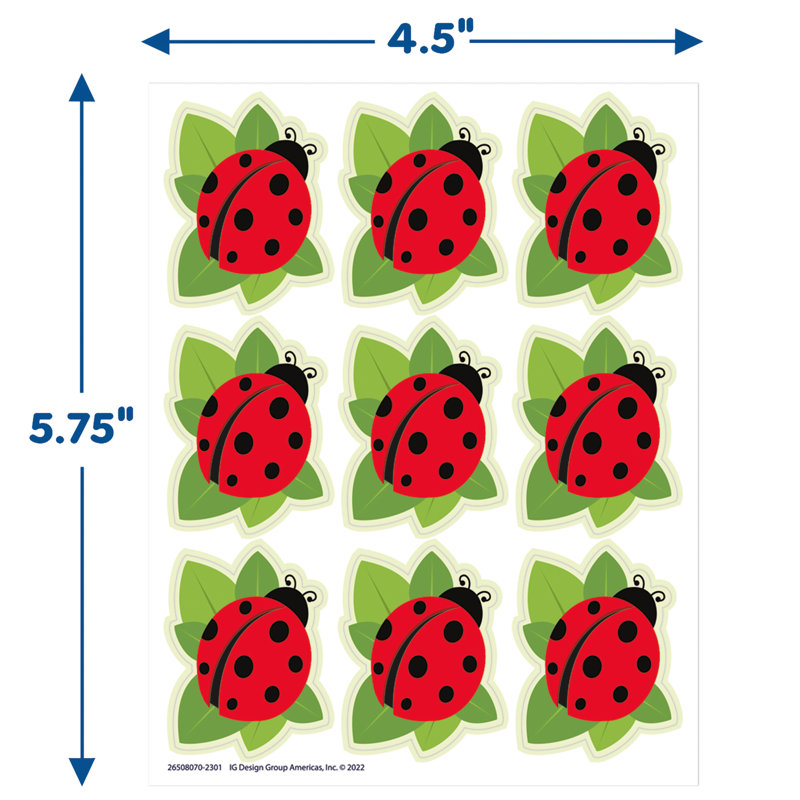 Accessoire éducatif de coccinelles