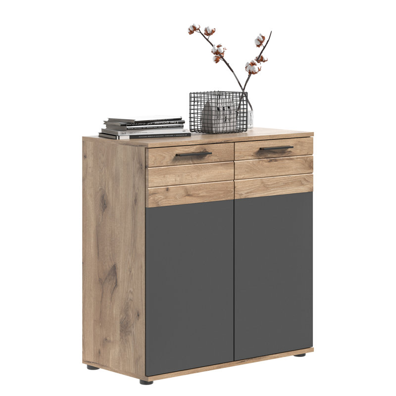 Harley-Jai Engineered Wood 2 - Door Rectangle Accent Cabinet
