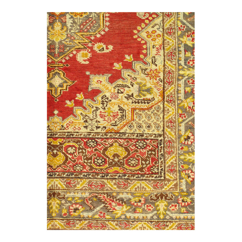 Colella Wool Oriental Indoor Rug